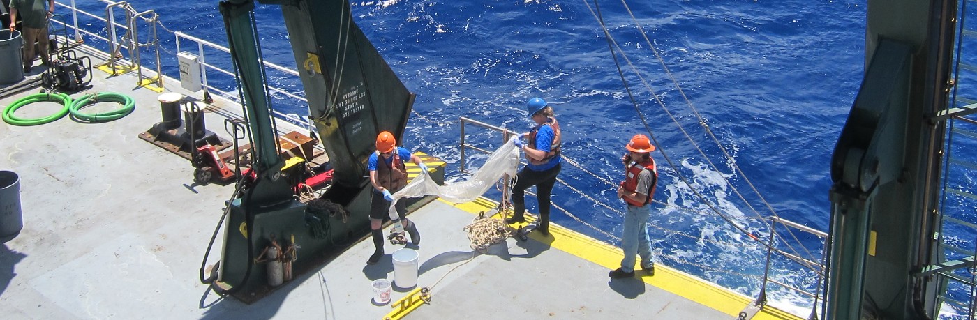 Hauling in the plankton net on the back deck of the R/V Kilo Moana in the North Pacific Ocean.