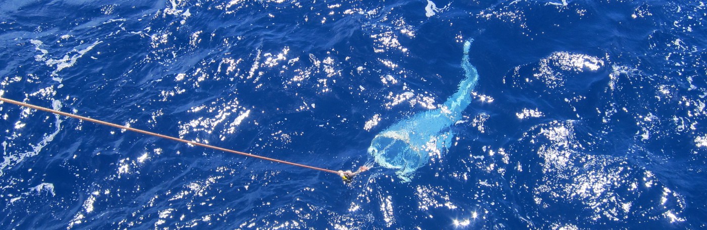 A large plankton net is towed through the surface waters of the North Atlantic to collect Trichodesmium, a marine cyanobacteria.